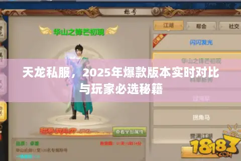 天龙私服,2025年爆款版本实时对比与玩家必选秘籍 天龙私服,2025年爆款版本实时对比与玩家必选秘籍