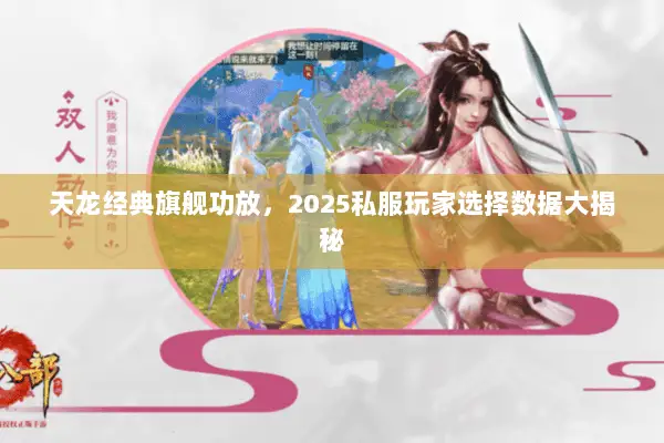 天龙经典旗舰功放,2025私服玩家选择数据大揭秘 天龙经典旗舰功放,2025私服玩家选择数据大揭秘