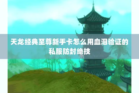 天龙经典至尊新手卡怎么用血泪验证的私服防封绝技 天龙经典至尊新手卡怎么用血泪验证的私服防封绝技