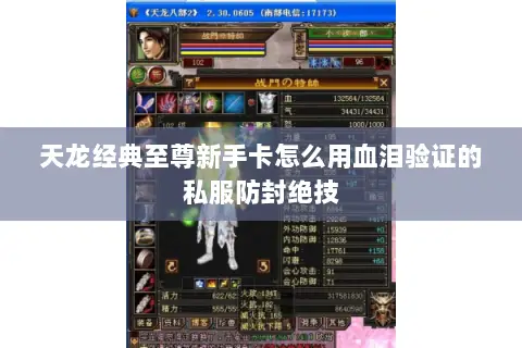 天龙经典至尊新手卡怎么用血泪验证的私服防封绝技 天龙经典至尊新手卡怎么用血泪验证的私服防封绝技