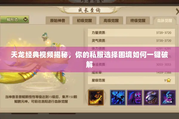 天龙经典视频揭秘，你的私服选择困境如何一键破解