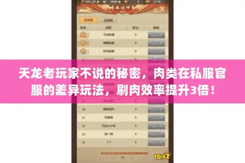 天龙老玩家不说的秘密,肉类在私服官服的差异玩法,刷肉效率提升3倍! 天龙老玩家不说的秘密,肉类在私服官服的差异玩法,刷肉效率提升3倍!