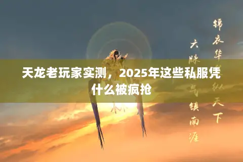 天龙老玩家实测，2025年这些私服凭什么被疯抢