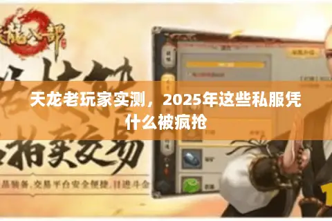 天龙老玩家实测，2025年这些私服凭什么被疯抢