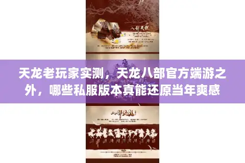 天龙老玩家实测,天龙八部官方端游之外,哪些私服版本真能还原当年爽感 天龙老玩家实测,天龙八部官方端游之外,哪些私服版本真能还原当年爽感