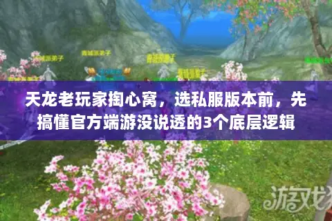 天龙老玩家掏心窝,选私服版本前,先搞懂官方端游没说透的3个底层逻辑 天龙老玩家掏心窝,选私服版本前,先搞懂官方端游没说透的3个底层逻辑