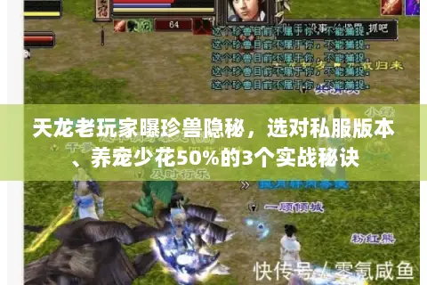 天龙老玩家曝珍兽隐秘，选对私服版本、养宠少花50%的3个实战秘诀