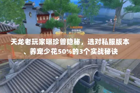 天龙老玩家曝珍兽隐秘，选对私服版本、养宠少花50%的3个实战秘诀