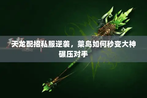 天龙配招私服逆袭,菜鸟如何秒变大神碾压对手 天龙配招私服逆袭,菜鸟如何秒变大神碾压对手