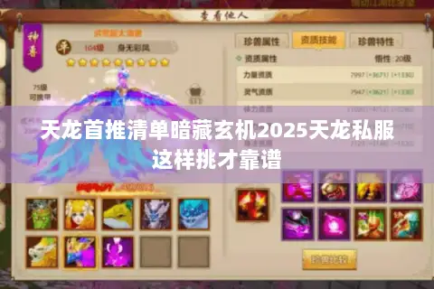 天龙首推清单暗藏玄机2025天龙私服这样挑才靠谱