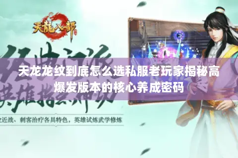 天龙龙纹到底怎么选私服老玩家揭秘高爆发版本的核心养成密码 天龙龙纹到底怎么选私服老玩家揭秘高爆发版本的核心养成密码