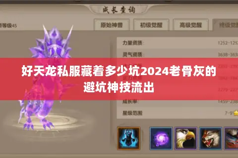 好天龙私服藏着多少坑2024老骨灰的避坑神技流出 好天龙私服藏着多少坑2024老骨灰的避坑神技流出