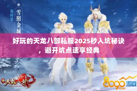 好玩的天龙八部私服2025秒入坑秘诀，避开坑点速享经典