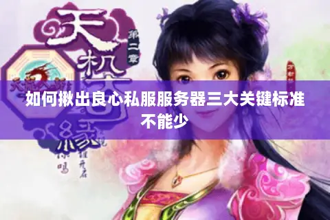 如何揪出良心私服服务器三大关键标准不能少 如何揪出良心私服服务器三大关键标准不能少