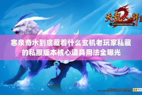 寒泉奇水到底藏着什么玄机老玩家私藏的私服版本核心道具用法全曝光 寒泉奇水到底藏着什么玄机老玩家私藏的私服版本核心道具用法全曝光