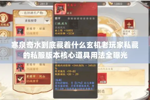 寒泉奇水到底藏着什么玄机老玩家私藏的私服版本核心道具用法全曝光 寒泉奇水到底藏着什么玄机老玩家私藏的私服版本核心道具用法全曝光