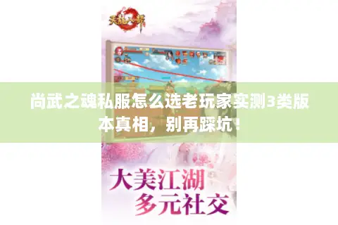 尚武之魂私服怎么选老玩家实测3类版本真相，别再踩坑！