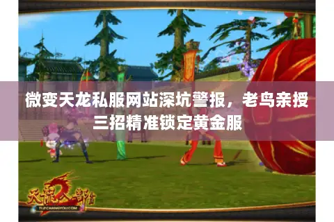 微变天龙私服网站深坑警报,老鸟亲授三招精准锁定黄金服 微变天龙私服网站深坑警报,老鸟亲授三招精准锁定黄金服