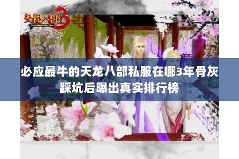 必应最牛的天龙八部私服在哪3年骨灰踩坑后曝出真实排行榜 必应最牛的天龙八部私服在哪3年骨灰踩坑后曝出真实排行榜
