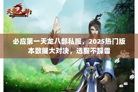 必应第一天龙八部私服,2025热门版本数据大对决,选服不踩雷 必应第一天龙八部私服,2025热门版本数据大对决,选服不踩雷