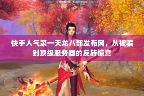 快手人气第一天龙八部发布网，从被骗到顶级服务器的反转惊喜