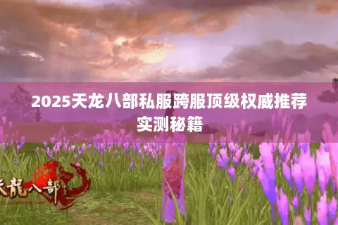 2025天龙八部私服跨服顶级权威推荐实测秘籍 2025天龙八部私服跨服顶级权威推荐实测秘籍