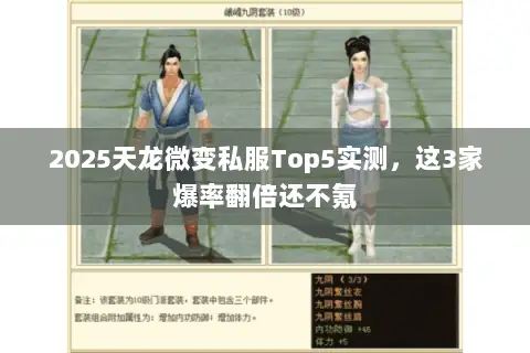 2025天龙微变私服Top5实测,这3家爆率翻倍还不氪 2025天龙微变私服Top5实测,这3家爆率翻倍还不氪