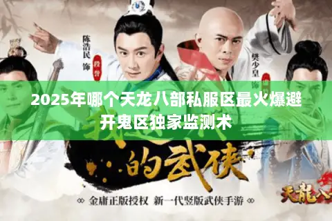 2025年哪个天龙八部私服区最火爆避开鬼区独家监测术