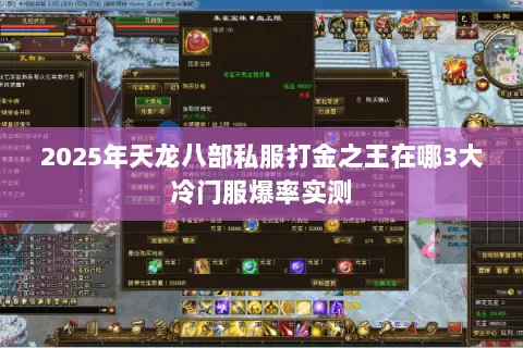 2025年天龙八部私服打金之王在哪3大冷门服爆率实测 2025年天龙八部私服打金之王在哪3大冷门服爆率实测