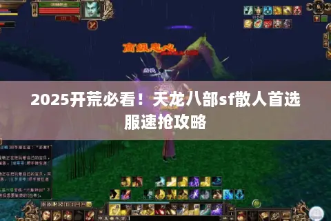2025开荒必看!天龙八部sf散人首选服速抢攻略 2025开荒必看!天龙八部sf散人首选服速抢攻略