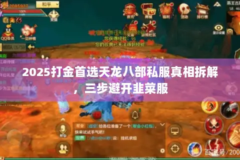 2025打金首选天龙八部私服真相拆解,三步避开韭菜服 2025打金首选天龙八部私服真相拆解,三步避开韭菜服