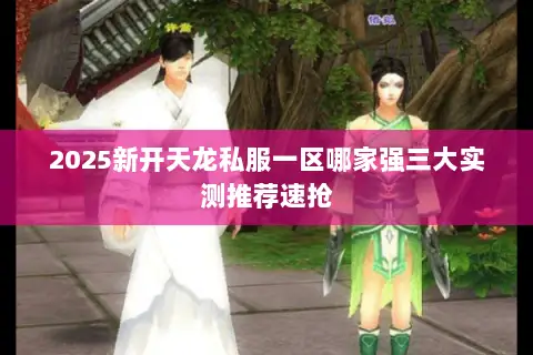 2025新开天龙私服一区哪家强三大实测推荐速抢