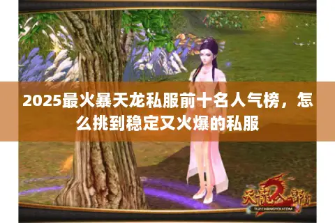 2025最火暴天龙私服前十名人气榜,怎么挑到稳定又火爆的私服 2025最火暴天龙私服前十名人气榜,怎么挑到稳定又火爆的私服