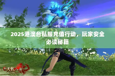 2025港澳台私服充值行动,玩家安全必读秘籍 2025港澳台私服充值行动,玩家安全必读秘籍