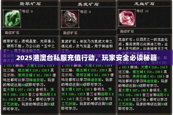 2025港澳台私服充值行动,玩家安全必读秘籍 2025港澳台私服充值行动,玩家安全必读秘籍