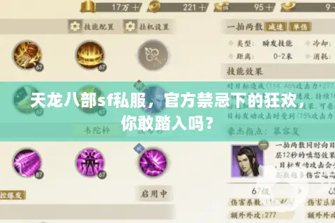 天龙八部sf私服,官方禁忌下的狂欢,你敢踏入吗? 天龙八部sf私服,官方禁忌下的狂欢,你敢踏入吗?