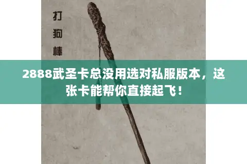 2888武圣卡总没用选对私服版本,这张卡能帮你直接起飞! 2888武圣卡总没用选对私服版本,这张卡能帮你直接起飞!
