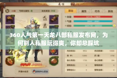 360人气第一天龙八部私服发布网，为何别人私服玩得爽，你却总踩坑