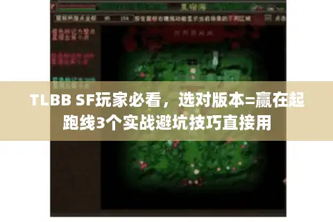 TLBB SF玩家必看,选对版本=赢在起跑线3个实战避坑技巧直接用 TLBB SF玩家必看,选对版本=赢在起跑线3个实战避坑技巧直接用