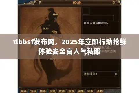 tlbbsf发布网，2025年立即行动抢鲜体验安全高人气私服