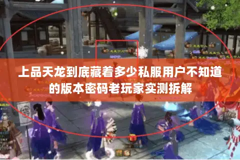 上品天龙到底藏着多少私服用户不知道的版本密码老玩家实测拆解 上品天龙到底藏着多少私服用户不知道的版本密码老玩家实测拆解