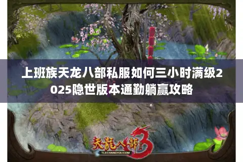 上班族天龙八部私服如何三小时满级2025隐世版本通勤躺赢攻略 上班族天龙八部私服如何三小时满级2025隐世版本通勤躺赢攻略