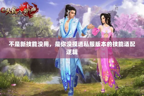 不是新技能没用,是你没摸透私服版本的技能适配逻辑 不是新技能没用,是你没摸透私服版本的技能适配逻辑