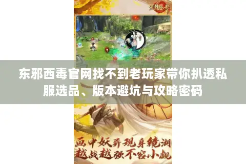东邪西毒官网找不到老玩家带你扒透私服选品、版本避坑与攻略密码 东邪西毒官网找不到老玩家带你扒透私服选品、版本避坑与攻略密码