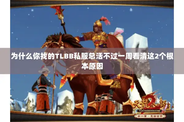 为什么你找的TLBB私服总活不过一周看清这2个根本原因