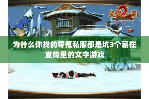 为什么你找的零氪私服都是坑3个藏在宣传里的文字游戏