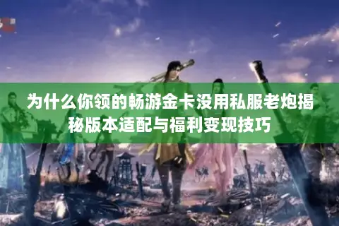 为什么你领的畅游金卡没用私服老炮揭秘版本适配与福利变现技巧 为什么你领的畅游金卡没用私服老炮揭秘版本适配与福利变现技巧