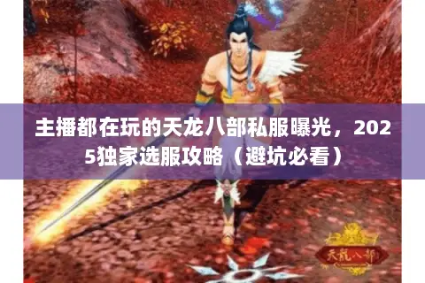 主播都在玩的天龙八部私服曝光，2025独家选服攻略（避坑必看）