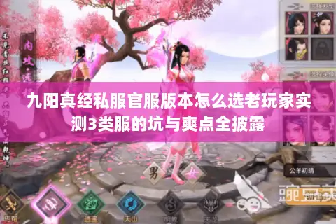 九阳真经私服官服版本怎么选老玩家实测3类服的坑与爽点全披露 九阳真经私服官服版本怎么选老玩家实测3类服的坑与爽点全披露