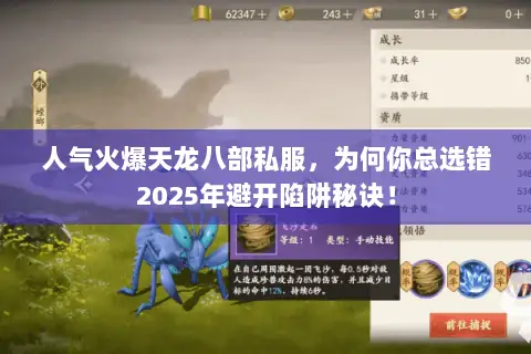 人气火爆天龙八部私服,为何你总选错2025年避开陷阱秘诀! 人气火爆天龙八部私服,为何你总选错2025年避开陷阱秘诀!